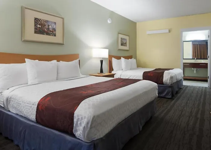 Best Western Inn